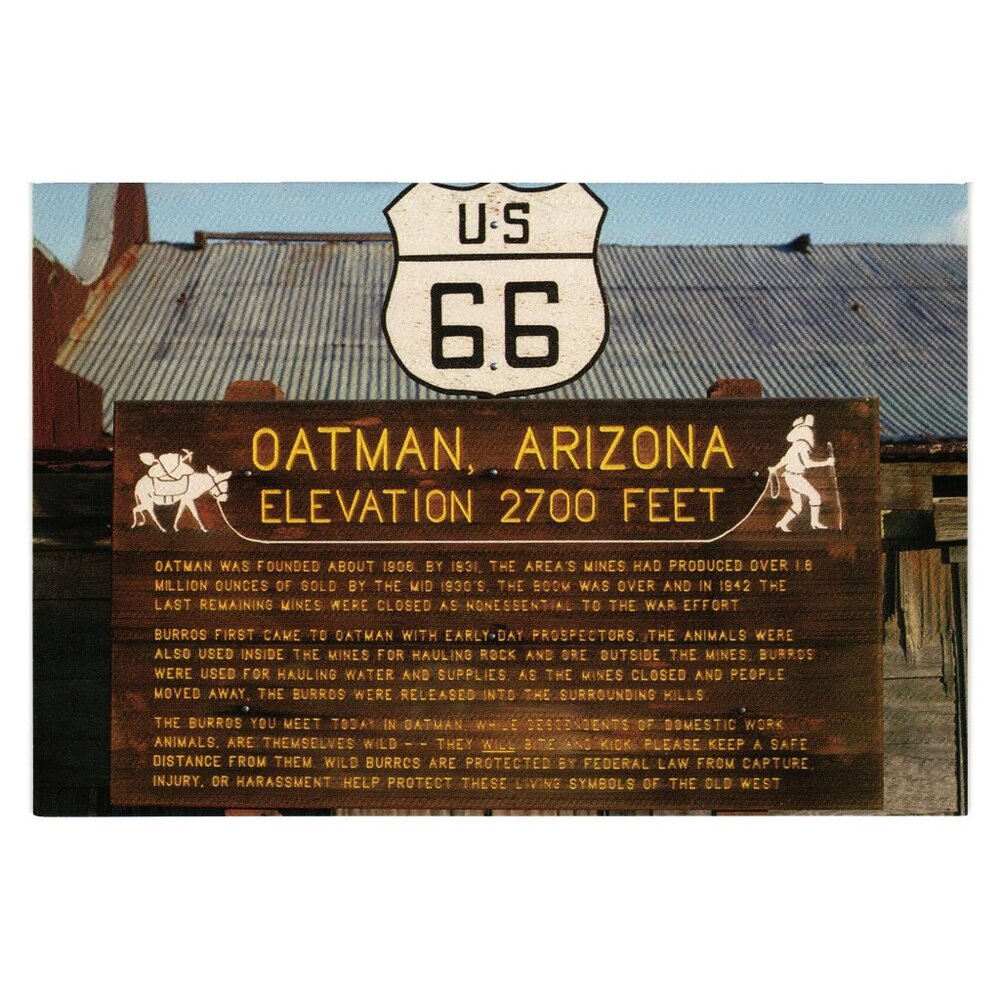 Oatman Arizona Postcard Historic Route 66 Sign Colorado River Series Photo Burro